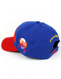 CHICAGO AMERICAN GIANTS LEGACY CAP
