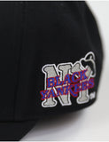NEW YORK BLACK YANKEES LEGACY CAP