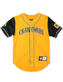 PITTSBURGH CRAWFORDS BASEBALL JERSEY