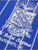 PBS BASEBALL JERSEY_ROYAL