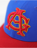 CHICAGO AMERICAN GIANTS LEGACY CAP